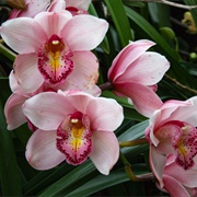 Te Puna Quarry Park, Tauranga