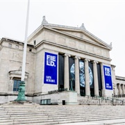 Go to the Field Museum