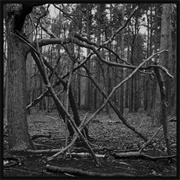 Drowning Horse - Drowning Horse