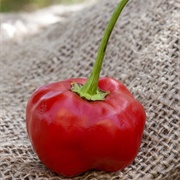 Sweet Piquanté Pepper