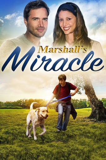 Marshall&#39;s Miracle (2015)