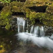 Withrow Springs State Park