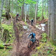 Mountain Bike (BC)