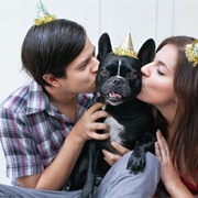 Adopt a Pet Together