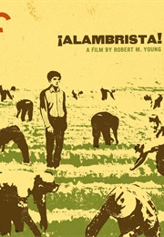 ¡Alambrista! (1977)