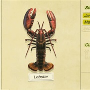 Lobster