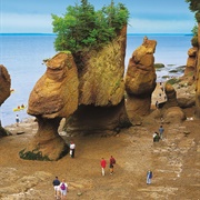 Walk the Hopewell Rocks Seabed (NB)