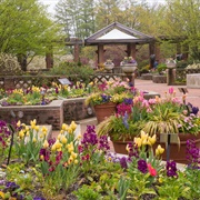 Visit the Chicago Botanical Gardens