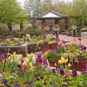 Visit the Chicago Botanical Gardens
