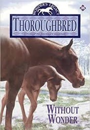 Without Wonder (Joanna Campbell)