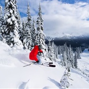 Powder Down Ski Whistler (BC)