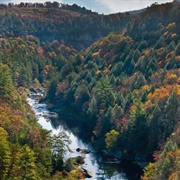 Tennessee River Gorge, Tennessee