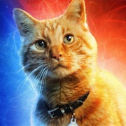 Capt Marvel