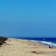 Canaveral National Seashore