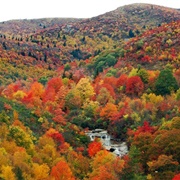 Asheville, North Carolina, USA