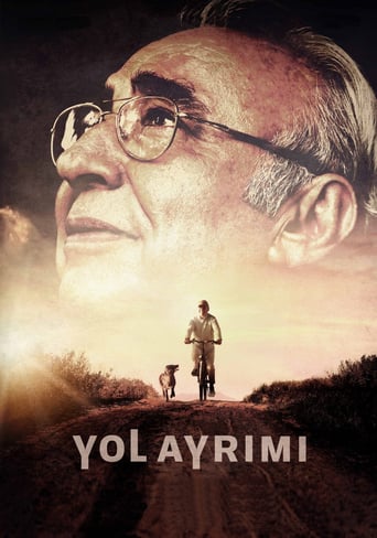 Yol Ayrımı (2017)