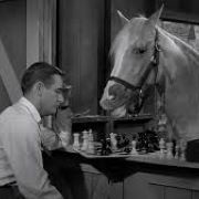 &quot;A Horse Is a Horse of Course of Course&quot;-Mister Ed