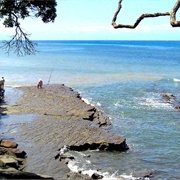 Shakespear Regional Park