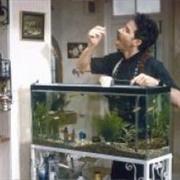 Wanda-A Fish Called Wanda