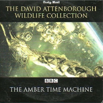 The Amber Time Machine (2004)