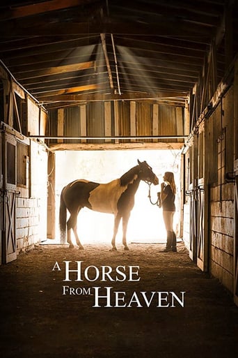 A Horse From Heaven (2018)