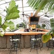 Greenhouse Bar