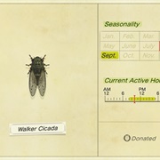 Walker Cicada