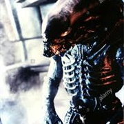 Alien