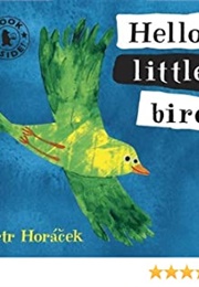 Hello, Little Bird (Petr Horacek)