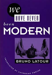 We Have Never Been Modern (Bruno Latour)
