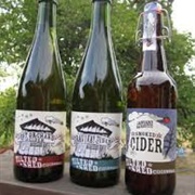 Tilted Shed Ciderworks