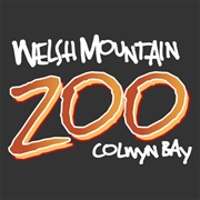 Welsh Mountain Zoo