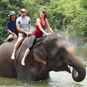 Rode an Elephant