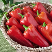 Carmen Italian Sweet Pepper