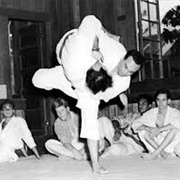 Danzan Ryu