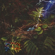 Kaatayra - Só Quem Viu O Relâmpago À Sua Direita Sabe