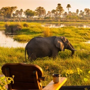 Kasane (Chobe National Park), Botswana