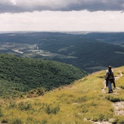 Mt Washington State Forest, Massachusetts