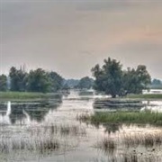Mura Drava Danube Biosphere Reserve Inc Duna Drava National Park, Hungary / Croatia / Serbia