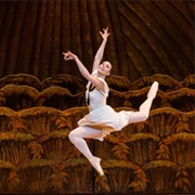 The Bright Stream Ballet