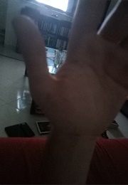 Butterfly Dress Pledge (Shuji Terayama) (1974)