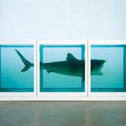 Jumping the Shark - Damien Hirst