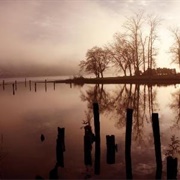 Bloedel Donovan Park, Bellingham