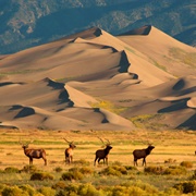 Great Sand Dunes, Colorado