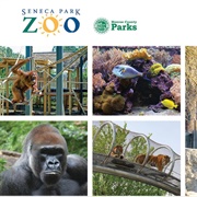 Seneca Park Zoo