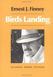 Birds Landing (Ernest Finney)
