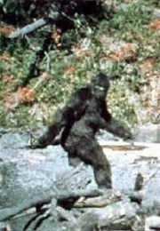 Patterson-Gimlin Film (1967)