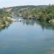 American River Bluffs and Phoenix Park Vernal Pools (California)