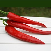Guajillo Pepper