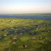 Sudd Wetlands, South Sudan